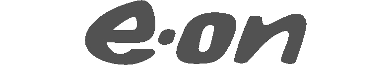 partner 11